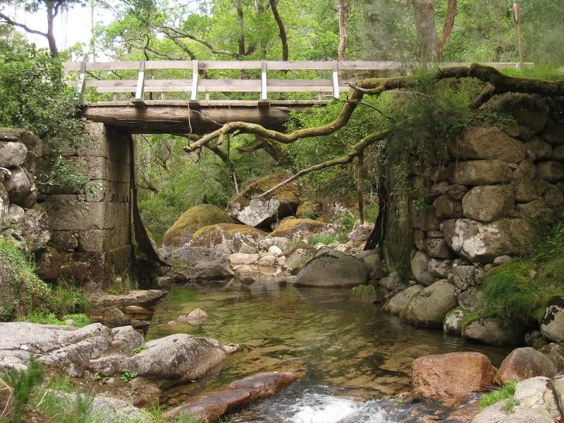 נחל צלול בין סלעי גרניט ביער, מתחת לגשר אבן ועץ ישן