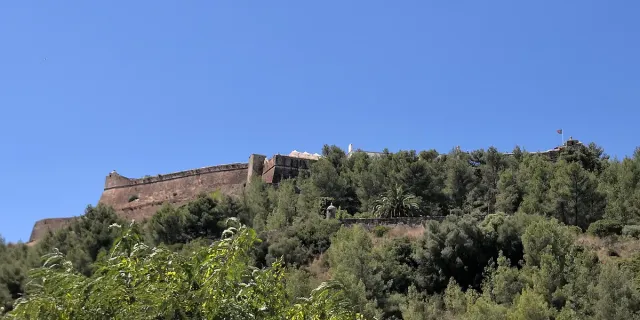 חומות מבצר אבן נמוכות על ראש גבעה מיוערת