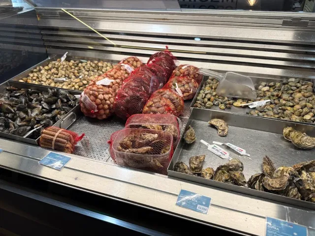 ויטרינת קירור עם צדפות, מולים, שבלולי ים ושקיות רשת של רכיכות טריות